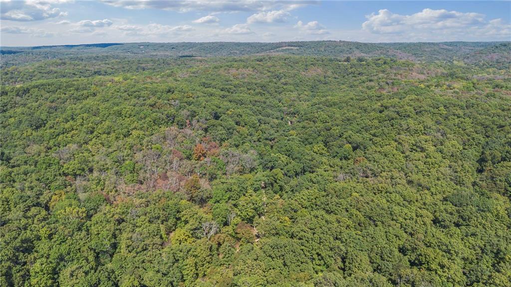 80-acres Proctor Road Gravois Mills, MO 65037 - Photo 4 of 76