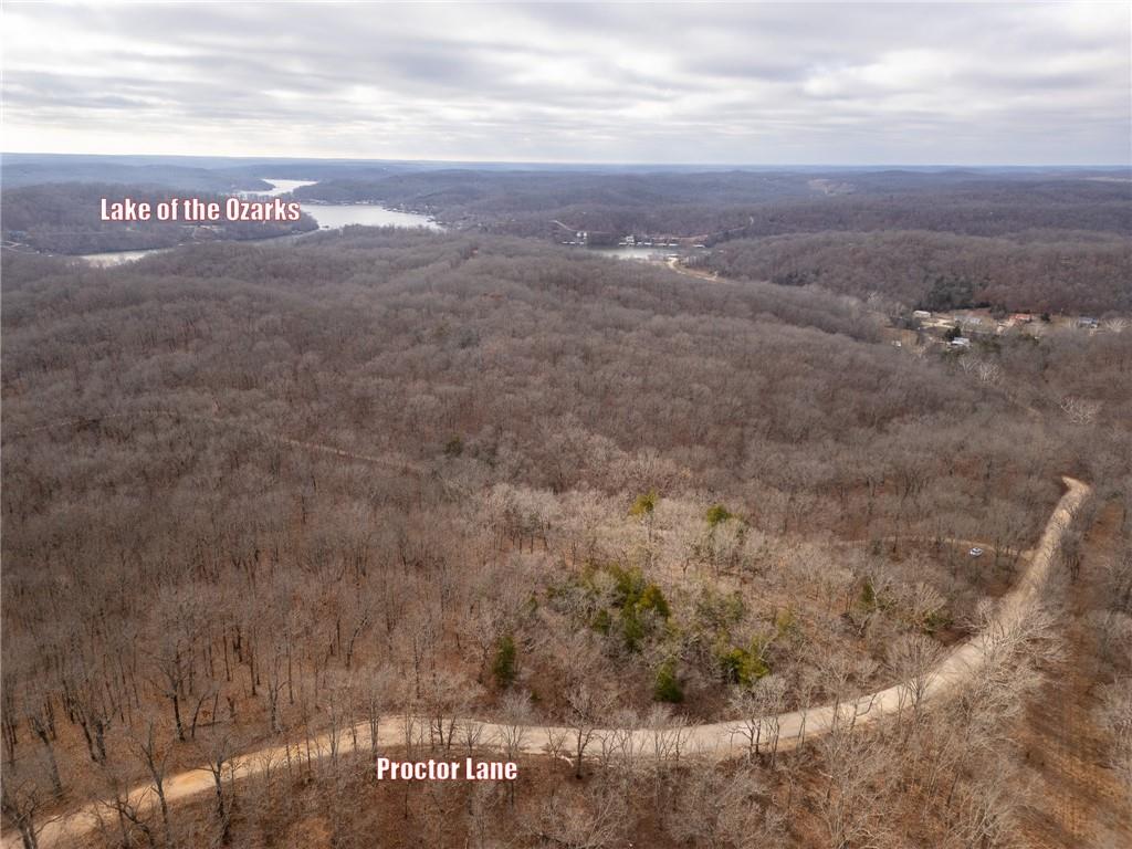 80-acres Proctor Road Gravois Mills, MO 65037 - Photo 41 of 76