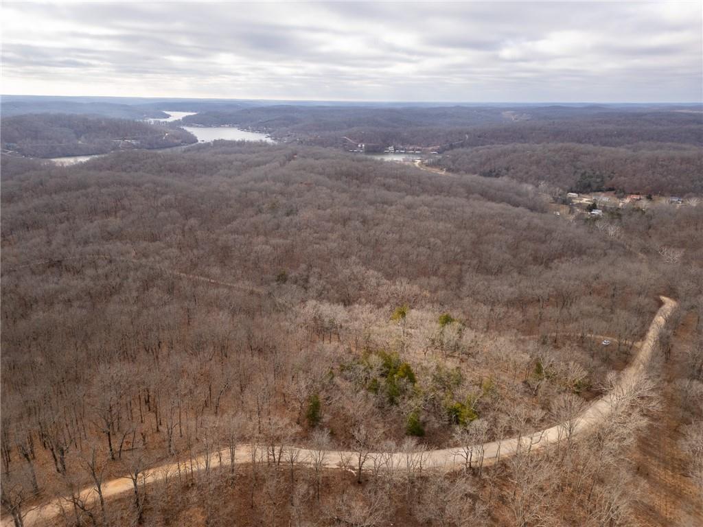 80-acres Proctor Road Gravois Mills, MO 65037 - Photo 42 of 76