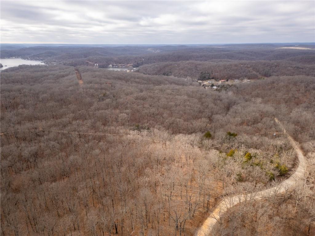 80-acres Proctor Road Gravois Mills, MO 65037 - Photo 43 of 76