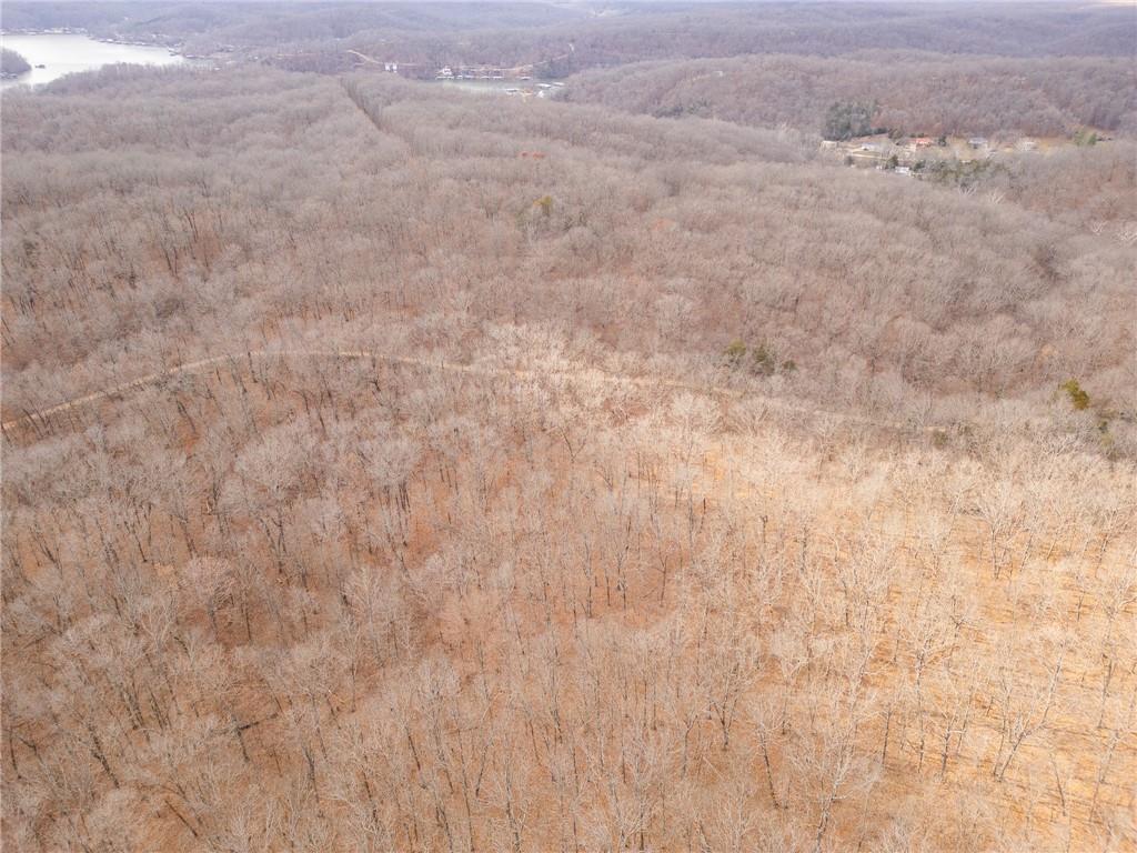 80-acres Proctor Road Gravois Mills, MO 65037 - Photo 44 of 76
