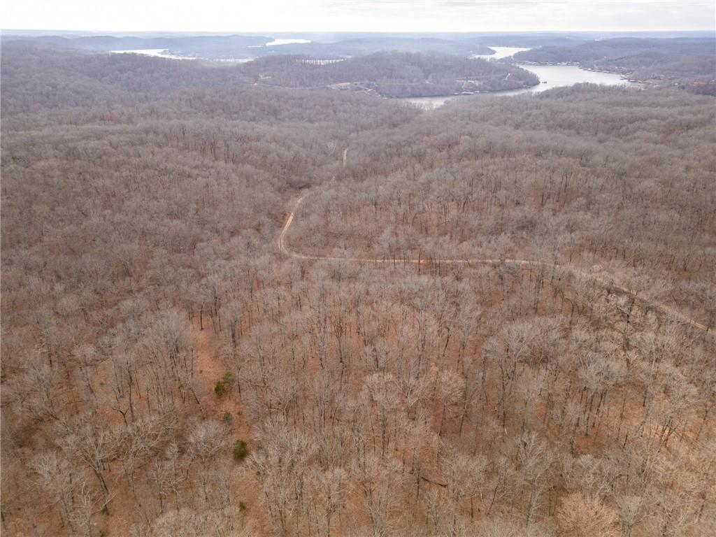 80-acres Proctor Road Gravois Mills, MO 65037 - Photo 45 of 76
