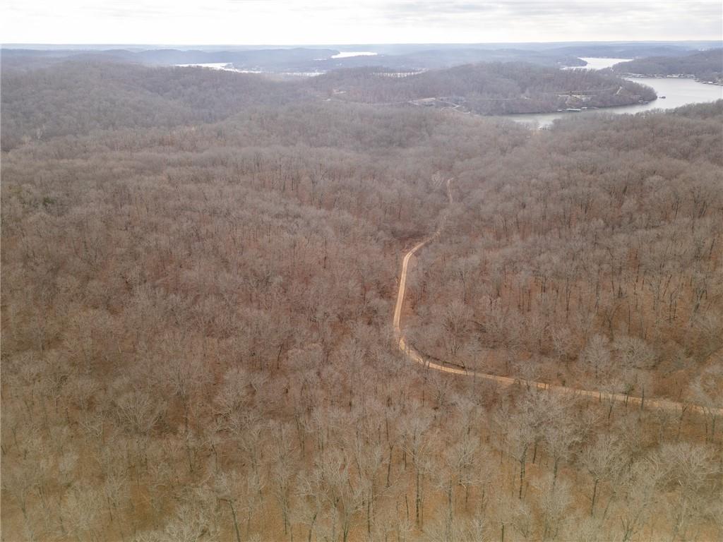 80-acres Proctor Road Gravois Mills, MO 65037 - Photo 46 of 76