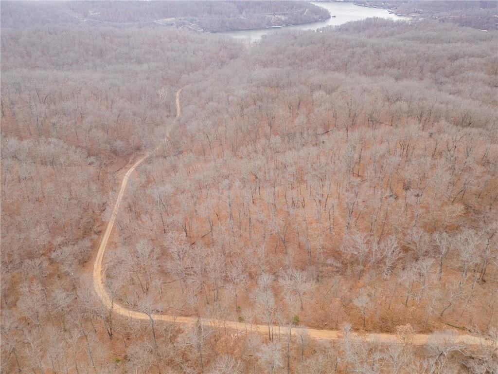 80-acres Proctor Road Gravois Mills, MO 65037 - Photo 47 of 76