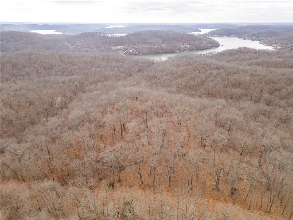 80-acres Proctor Road Gravois Mills, MO 65037 - Photo 48 of 76