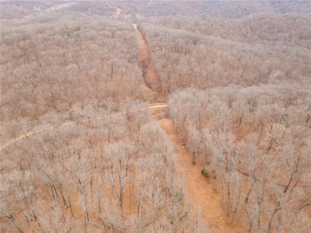 80-acres Proctor Road Gravois Mills, MO 65037 - Photo 49 of 76
