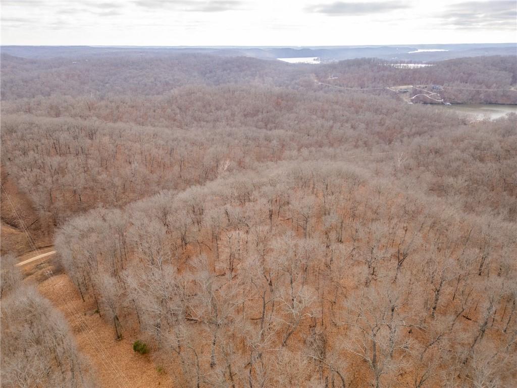 80-acres Proctor Road Gravois Mills, MO 65037 - Photo 50 of 76