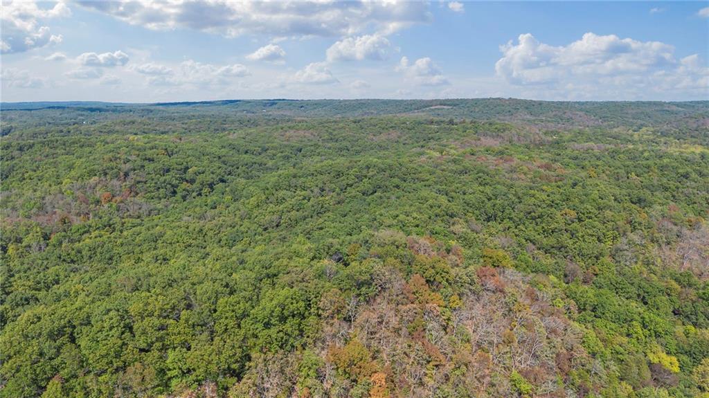 80-acres Proctor Road Gravois Mills, MO 65037 - Photo 5 of 76