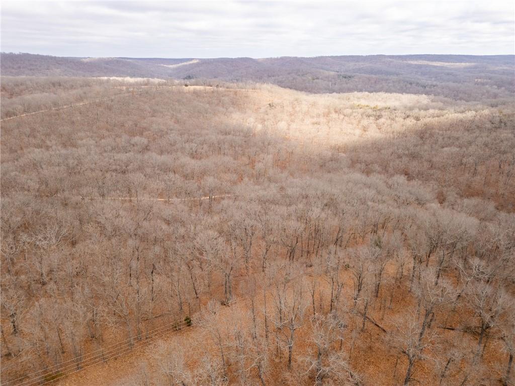 80-acres Proctor Road Gravois Mills, MO 65037 - Photo 51 of 76