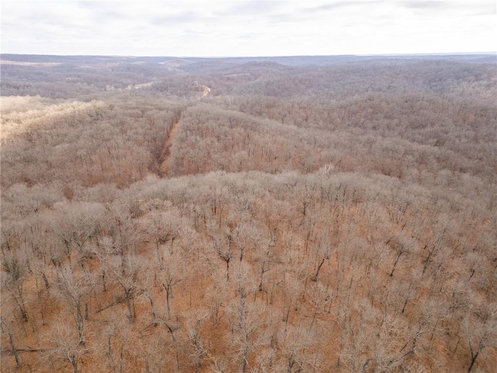80-acres Proctor Road Gravois Mills, MO 65037 - Photo 52 of 76