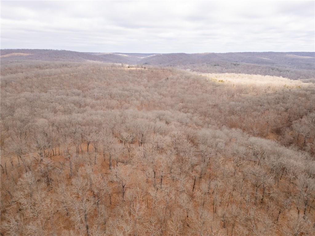 80-acres Proctor Road Gravois Mills, MO 65037 - Photo 53 of 76