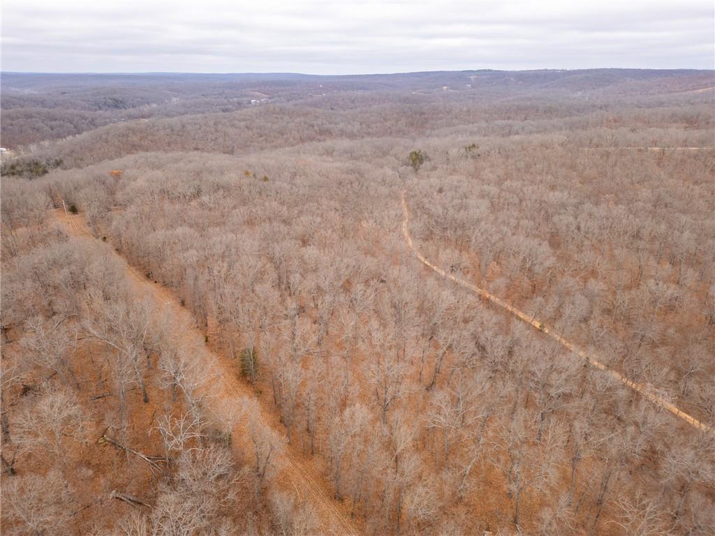 80-acres Proctor Road Gravois Mills, MO 65037 - Photo 54 of 76