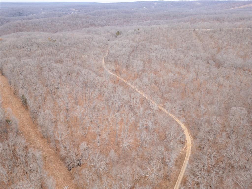 80-acres Proctor Road Gravois Mills, MO 65037 - Photo 56 of 76