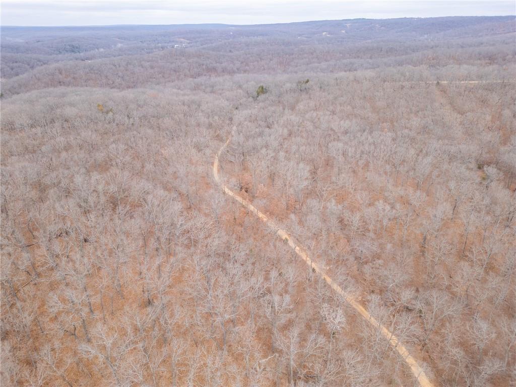 80-acres Proctor Road Gravois Mills, MO 65037 - Photo 57 of 76