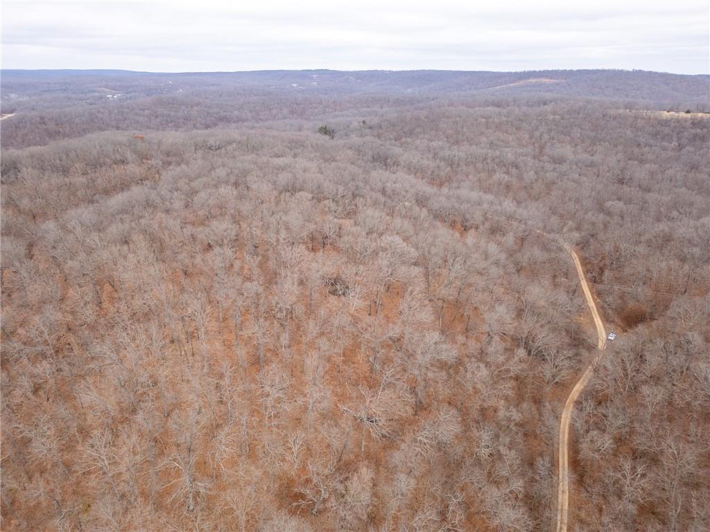 80-acres Proctor Road Gravois Mills, MO 65037 - Photo 58 of 76