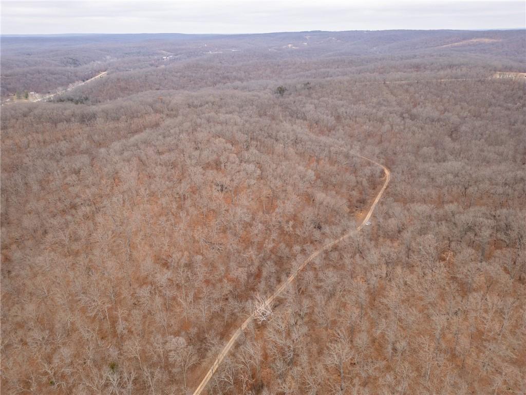 80-acres Proctor Road Gravois Mills, MO 65037 - Photo 59 of 76
