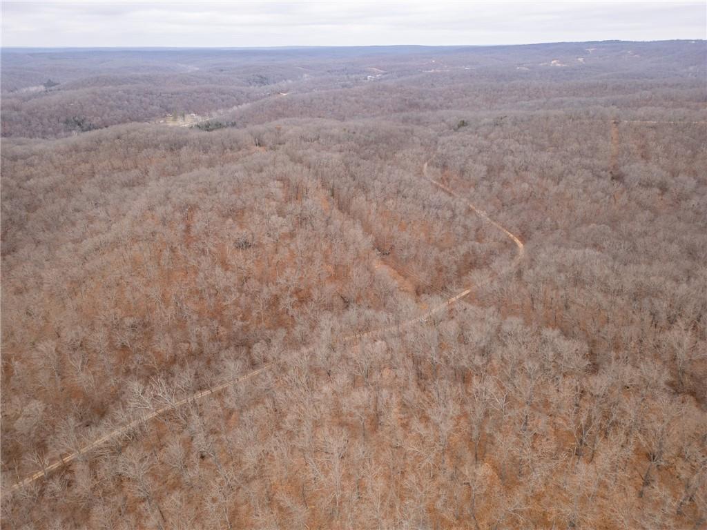 80-acres Proctor Road Gravois Mills, MO 65037 - Photo 60 of 76