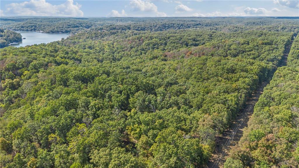 80-acres Proctor Road Gravois Mills, MO 65037 - Photo 6 of 76
