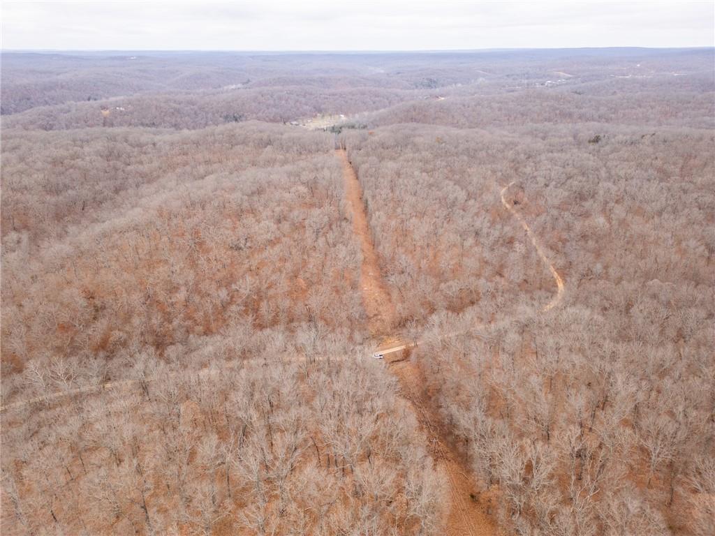 80-acres Proctor Road Gravois Mills, MO 65037 - Photo 61 of 76