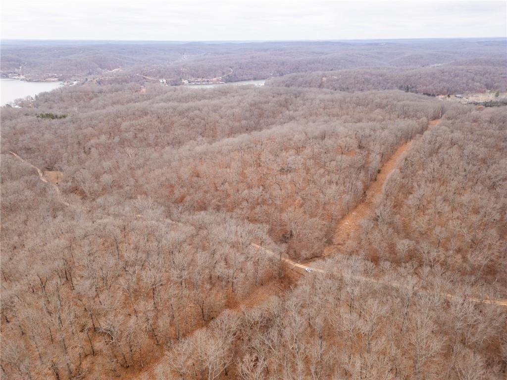 80-acres Proctor Road Gravois Mills, MO 65037 - Photo 62 of 76