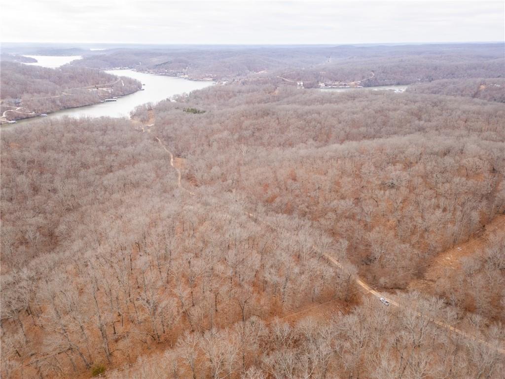 80-acres Proctor Road Gravois Mills, MO 65037 - Photo 63 of 76