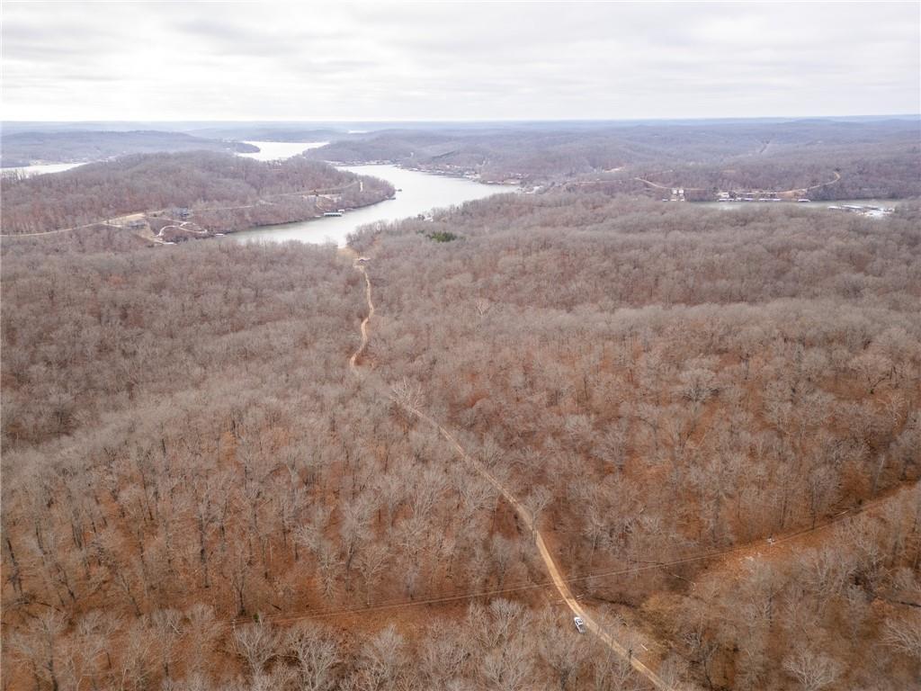 80-acres Proctor Road Gravois Mills, MO 65037 - Photo 64 of 76