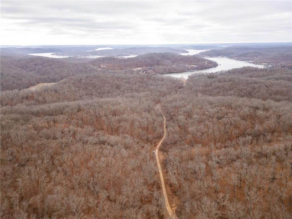 80-acres Proctor Road Gravois Mills, MO 65037 - Photo 66 of 76