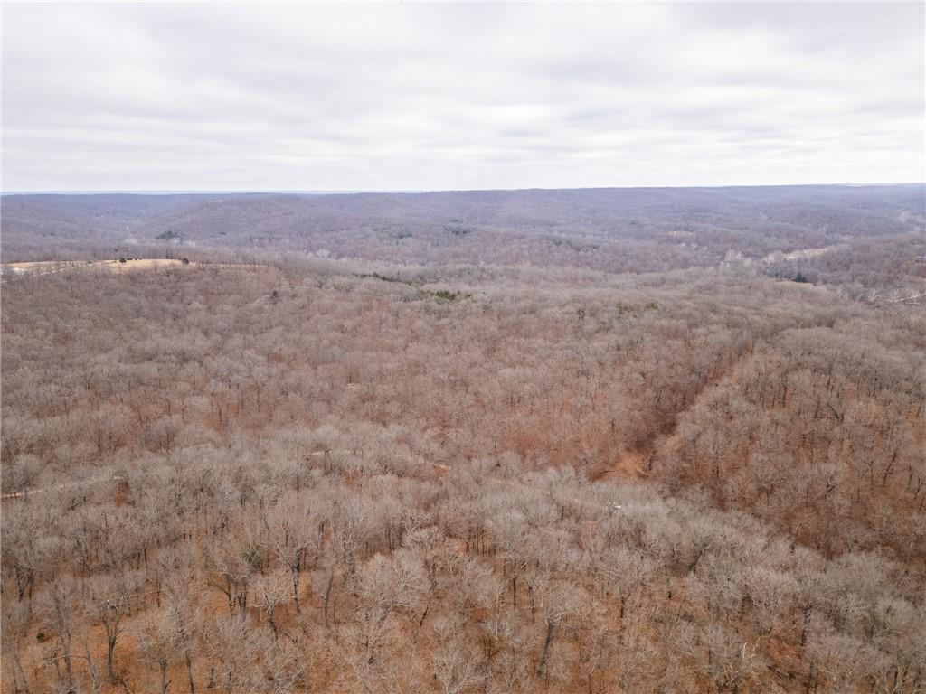 80-acres Proctor Road Gravois Mills, MO 65037 - Photo 67 of 76