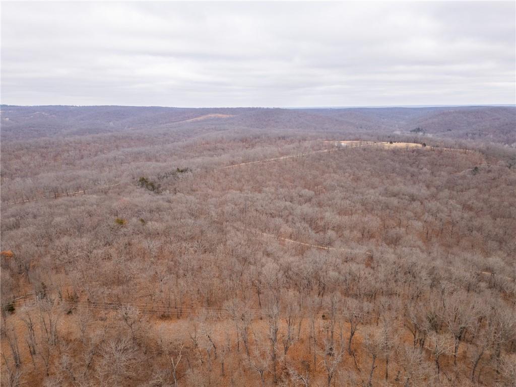 80-acres Proctor Road Gravois Mills, MO 65037 - Photo 68 of 76