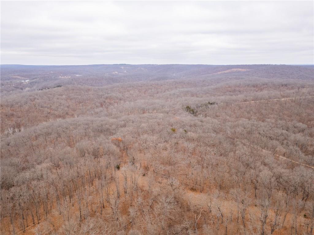 80-acres Proctor Road Gravois Mills, MO 65037 - Photo 69 of 76