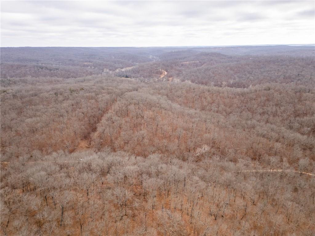80-acres Proctor Road Gravois Mills, MO 65037 - Photo 70 of 76