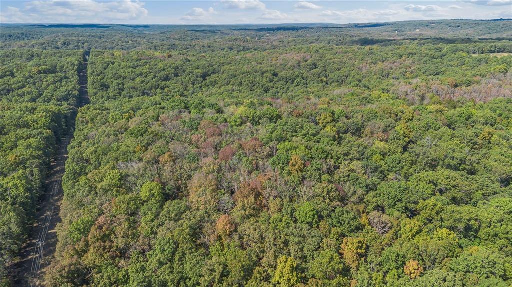 80-acres Proctor Road Gravois Mills, MO 65037 - Photo 7 of 76