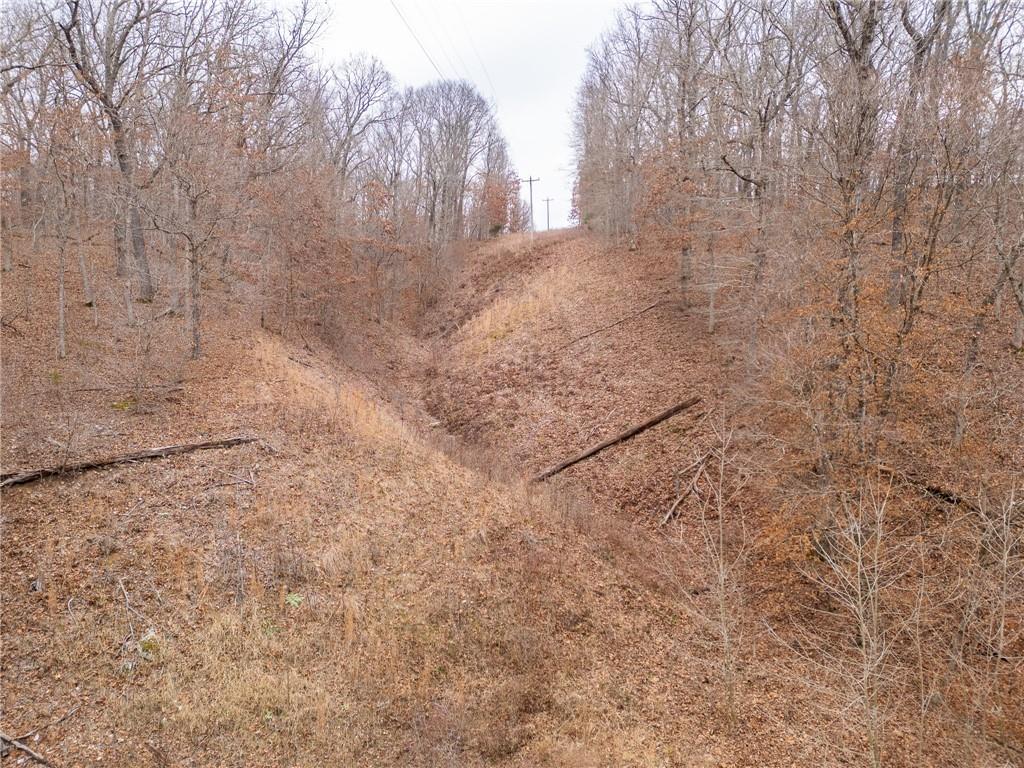 80-acres Proctor Road Gravois Mills, MO 65037 - Photo 71 of 76