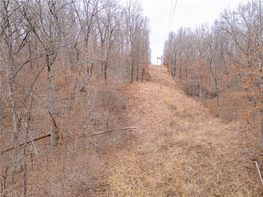 80-acres Proctor Road Gravois Mills, MO 65037 - Photo 72 of 76