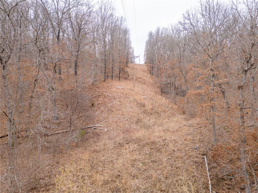 80-acres Proctor Road Gravois Mills, MO 65037 - Photo 73 of 76