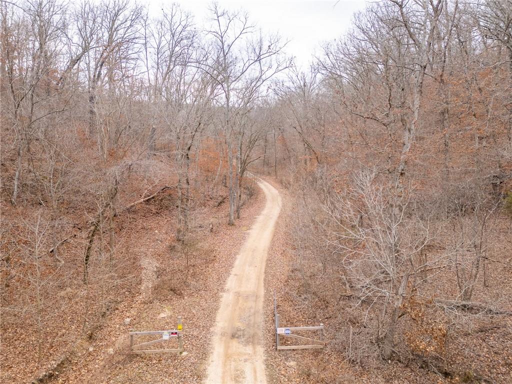 80-acres Proctor Road Gravois Mills, MO 65037 - Photo 74 of 76