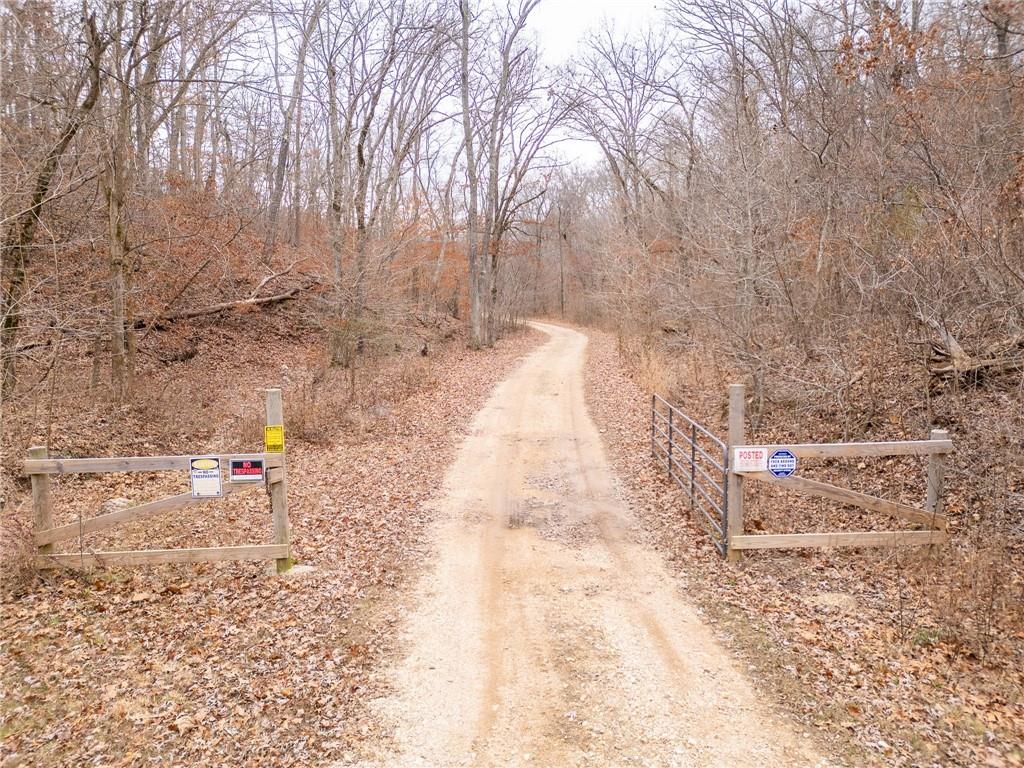 80-acres Proctor Road Gravois Mills, MO 65037 - Photo 75 of 76