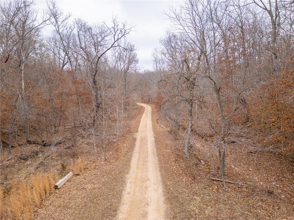 80-acres Proctor Road Gravois Mills, MO 65037 - Photo 76 of 76