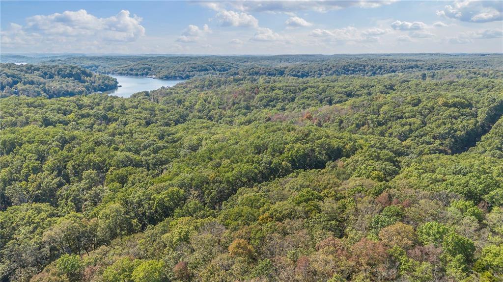 80-acres Proctor Road Gravois Mills, MO 65037 - Photo 8 of 76