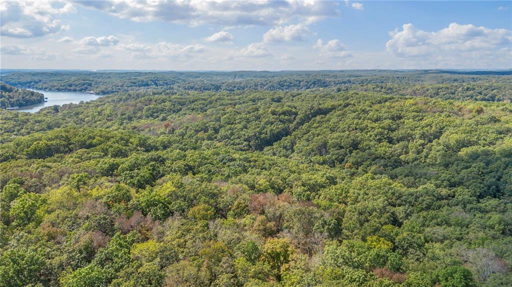 80-acres Proctor Road Gravois Mills, MO 65037 - Photo 9 of 76