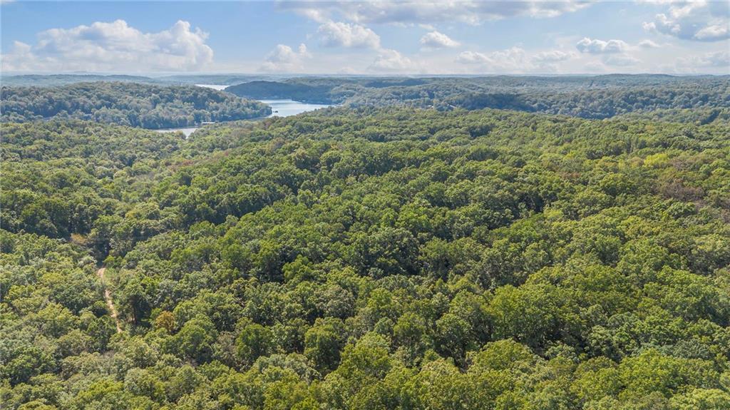 80-acres Proctor Road Gravois Mills, MO 65037 - Photo 10 of 76