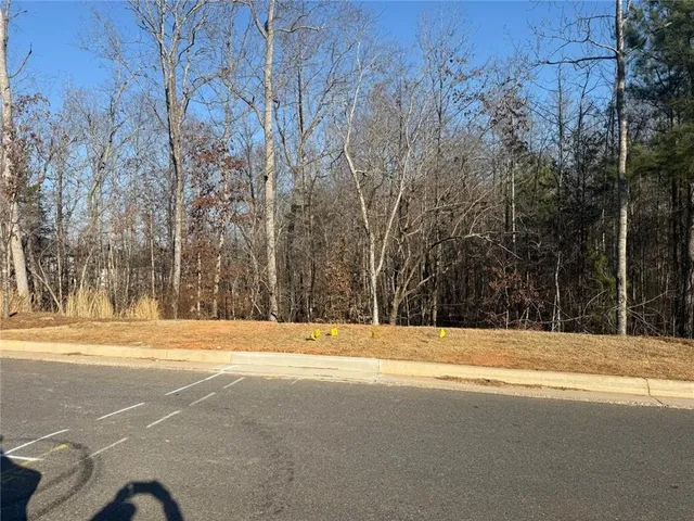 $3,000 | 189 Vly Oak Drive, Dawsonville, GA 30534