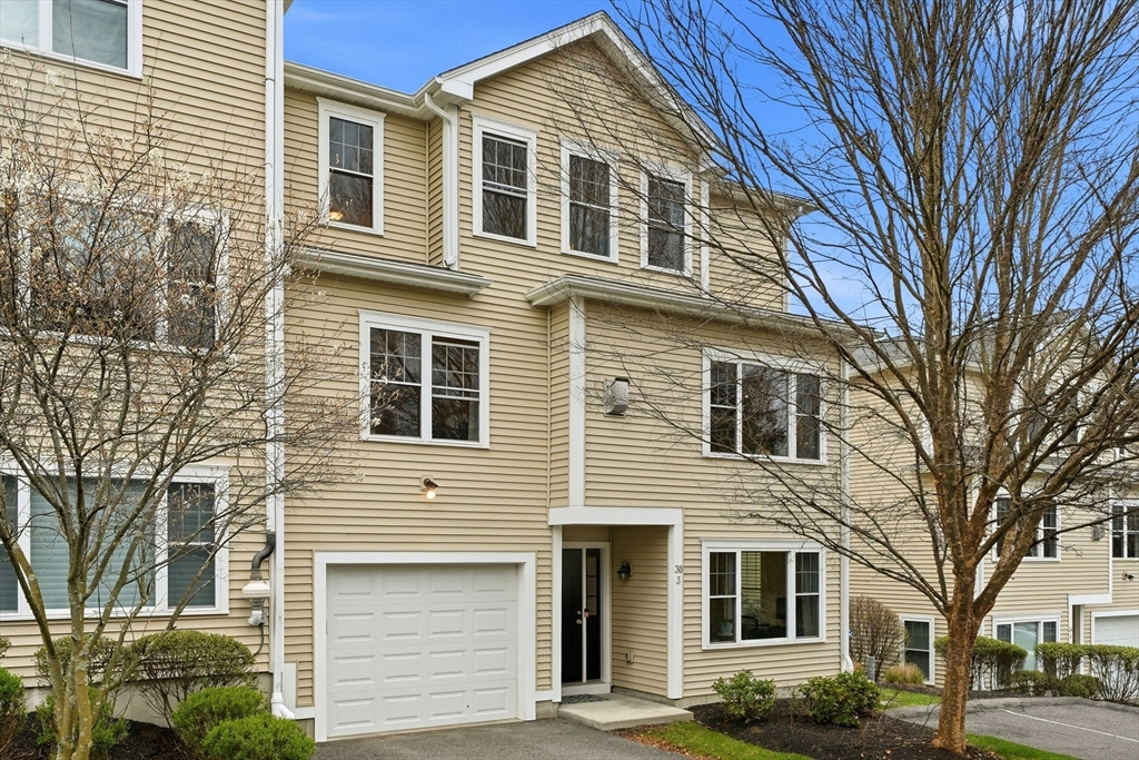 30 Webster Street, Unit 3 Needham, MA 02494 - Photo 2 of 38 Gallery Image 2