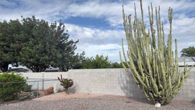 a view of a garden with plants
