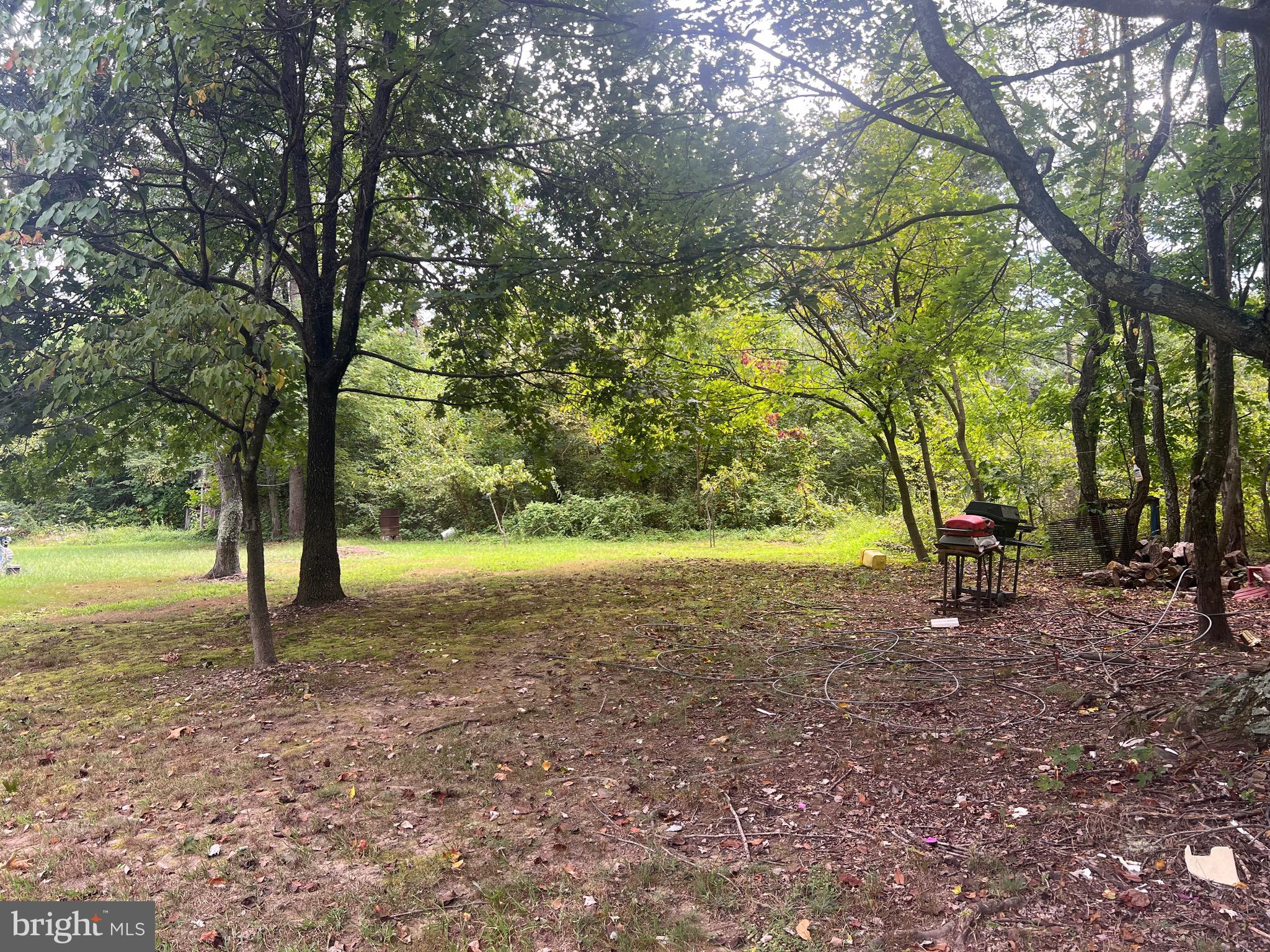 22322 Cacapon Road Paw Paw, WV 25434 - Photo 7 of 11 a view of a tree in the middle of a yard