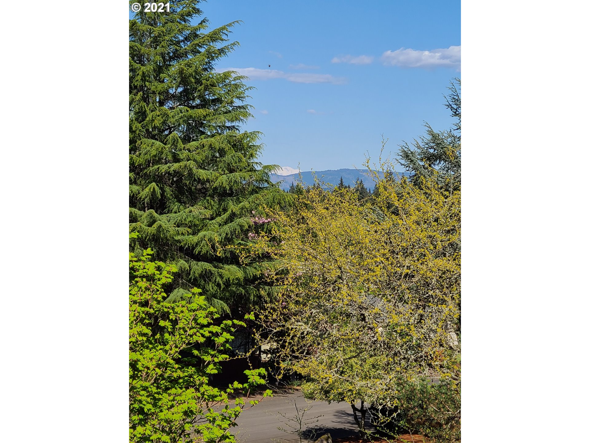 16010 Northeast 33rd Avenue Ridgefield, WA 98642 - Photo 6 of 6