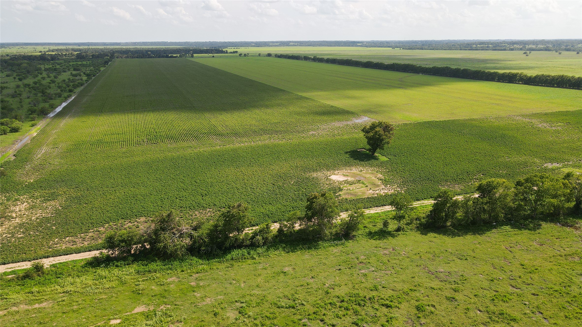 0 Felder Road Washington, TX 77880 - Photo 8 of 9