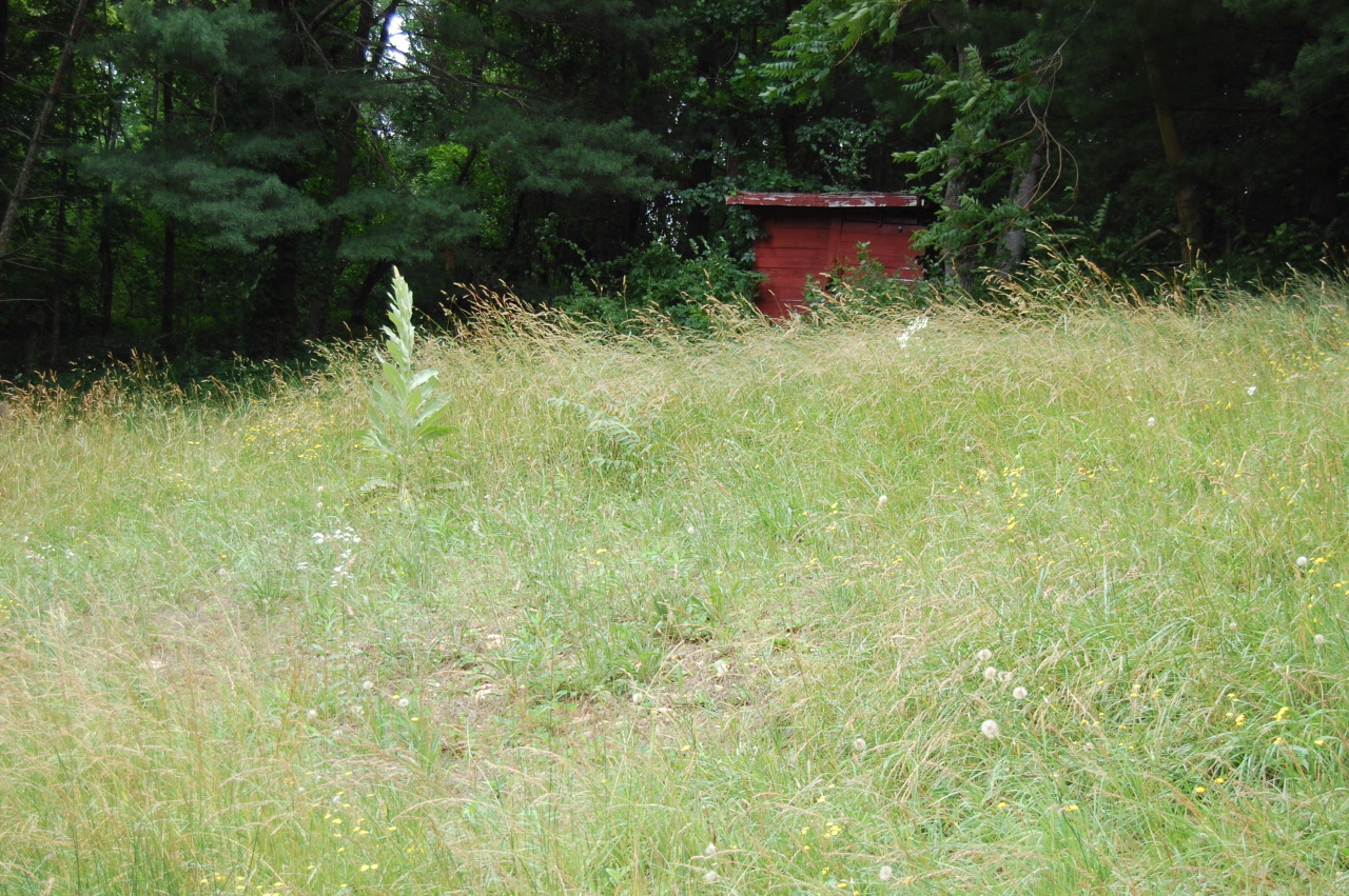 102 Spring Street Galax, VA 24333 - Photo 10 of 10 Back yard