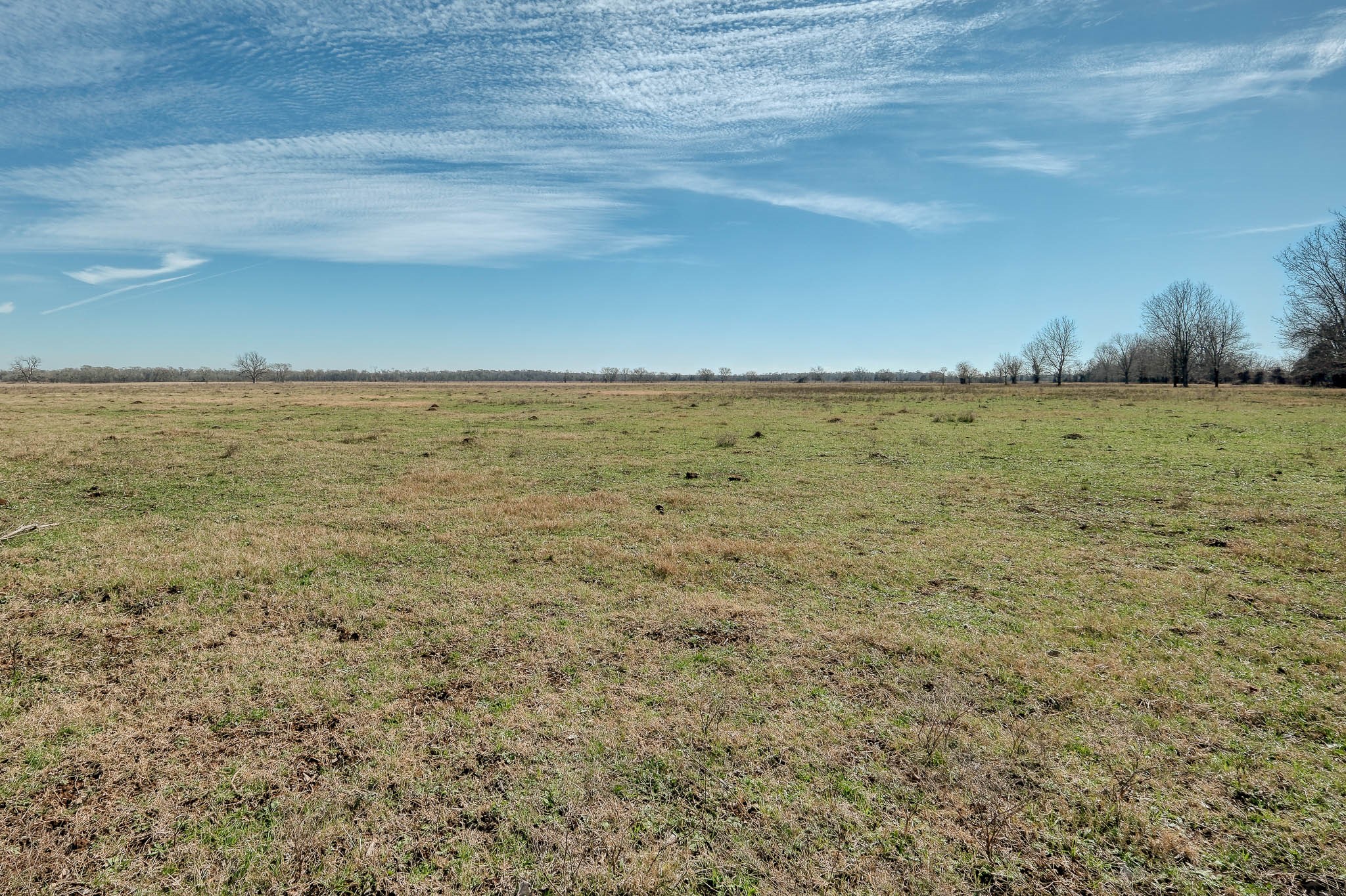 42919 Addie Gee Road Hempstead, TX 77445 - Photo 21 of 22