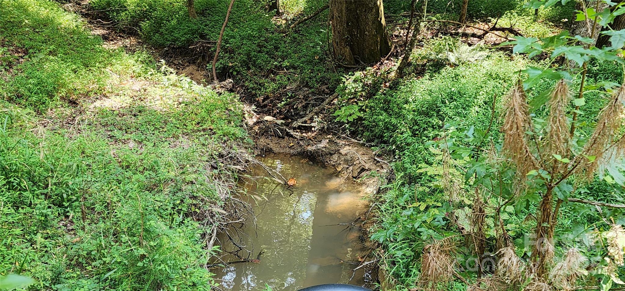 1115 John Short Road Indian Land, SC 29707 - Photo 36 of 48 a plant view in yard